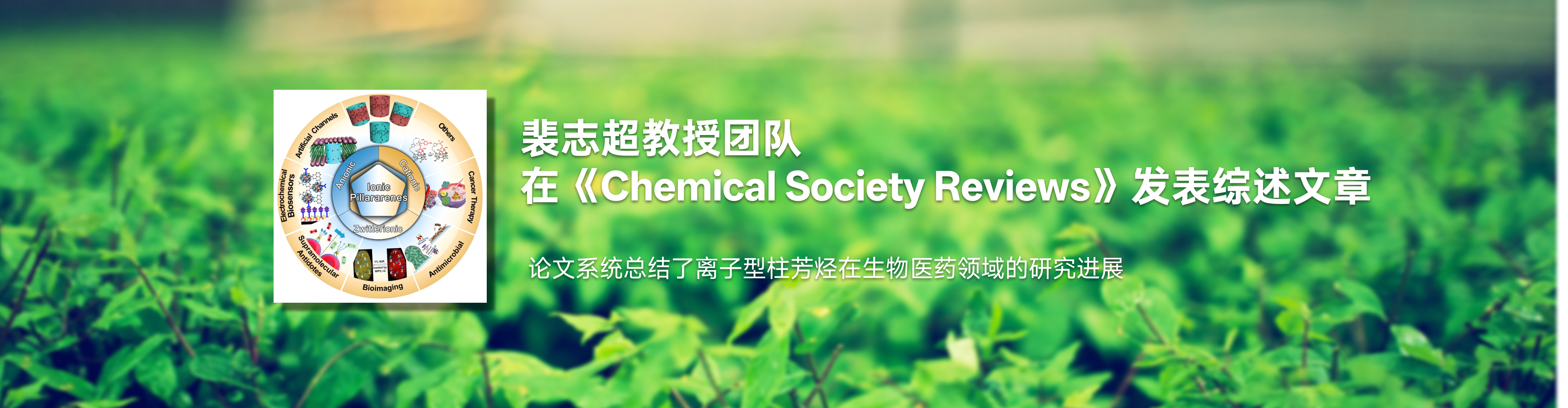 91JAV
裴志超教授团队在《Chemical Society Reviews》发表综述文章