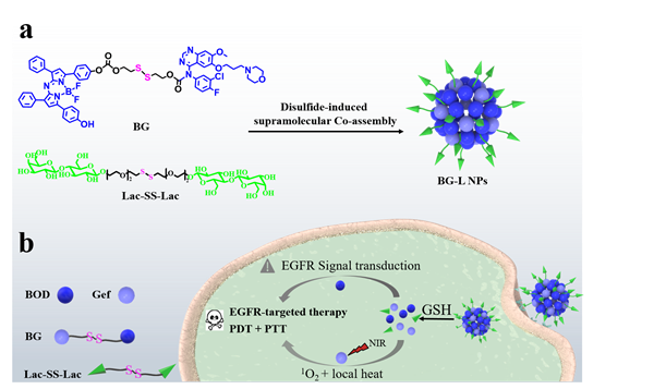 59486034c395433cb8c072896759de04.png 图片1-3_副本.png
