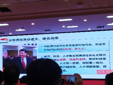 057171a88232466e9700ea3a22c568ef.jpg 3.jpg